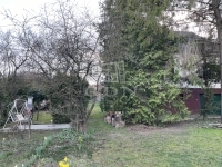 Perbál Családi ház