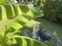 Zalaegerszeg Családi ház