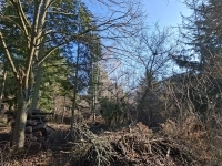 Budakeszi Telek