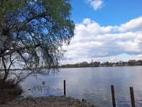 Ráckeve Családi ház