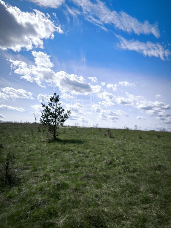 For sale Csomád Agricultural area