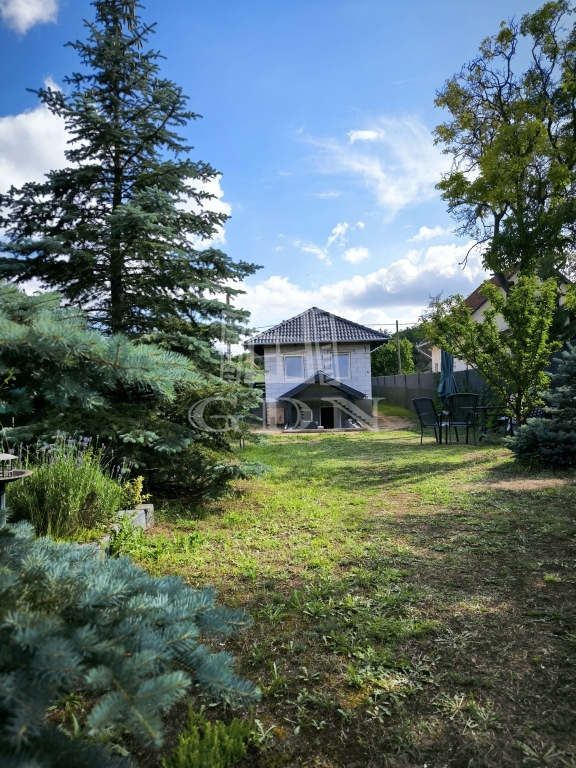 For sale Őrbottyán Family House