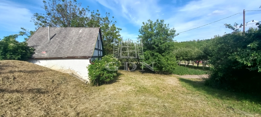 Vânzare Szomód Zona agricola